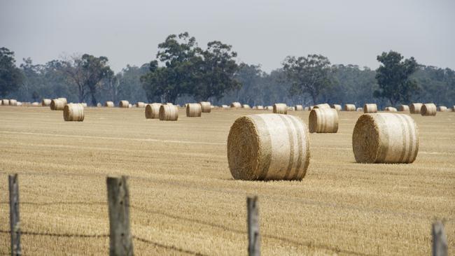 Hay bales have become few and far between. Picture: Zoe Phillips