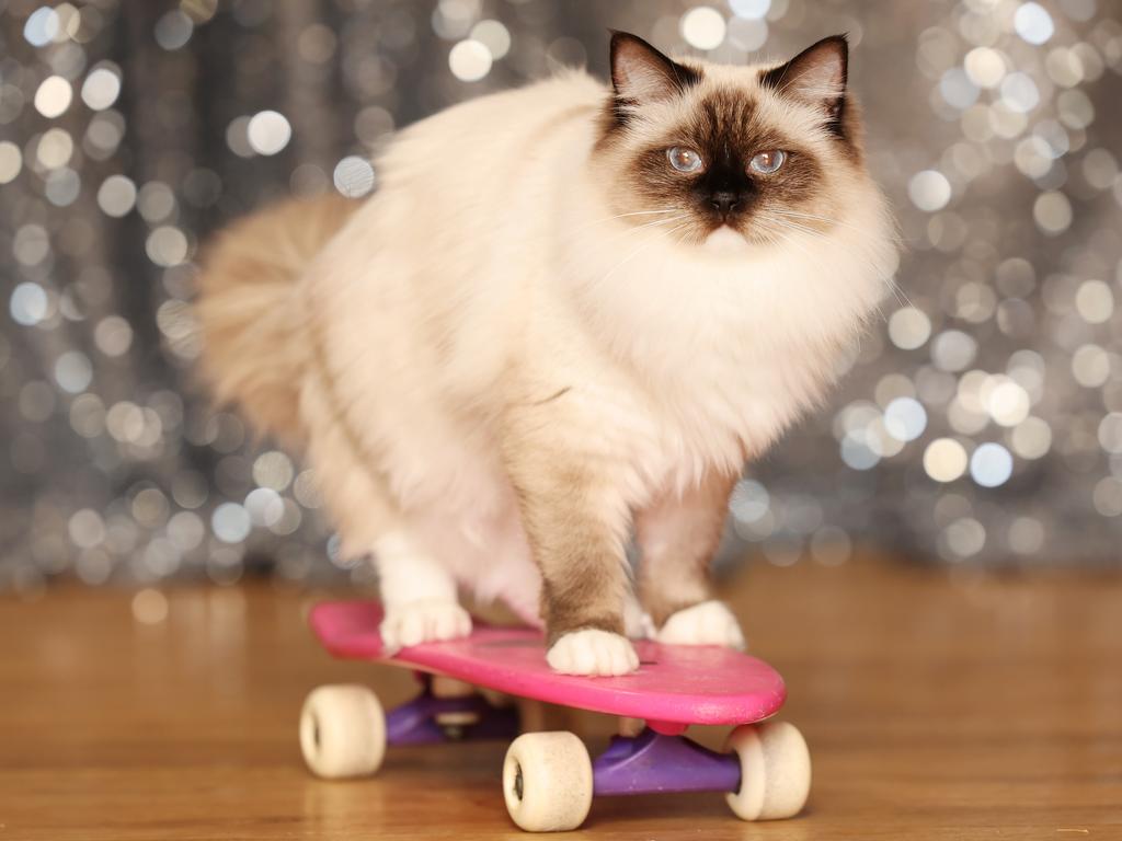 Adele skateboarding at her house in the Blue Mountains. Picture: Rohan Kelly