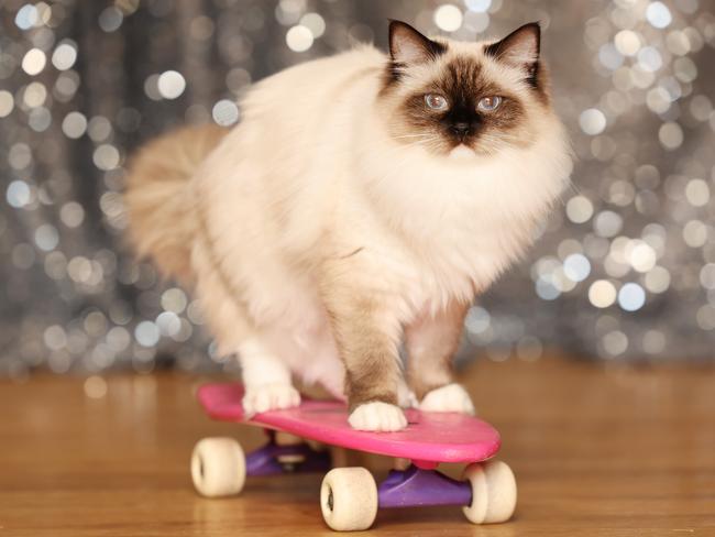 Adele skateboarding at her house in the Blue Mountains. Picture: Rohan Kelly