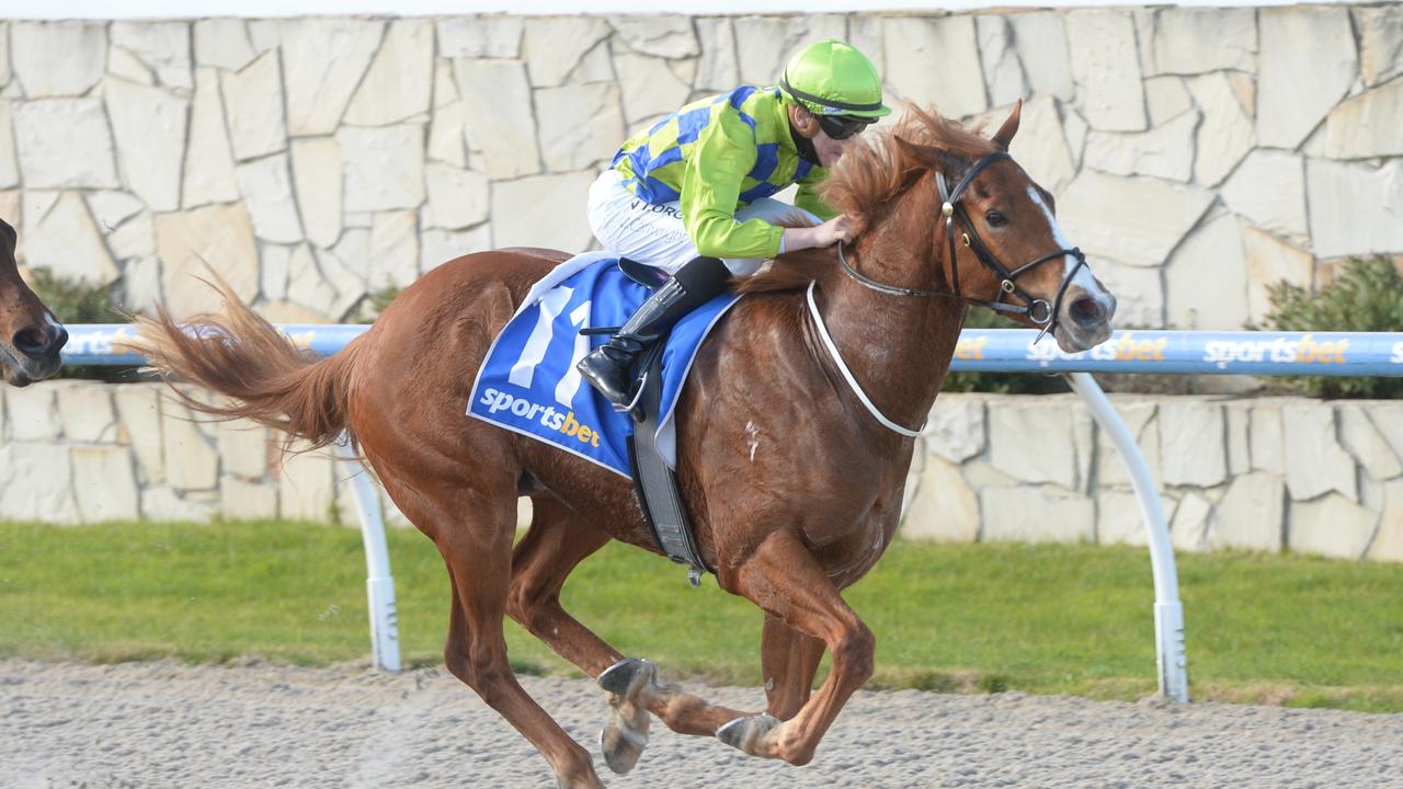 Sportsbet-Pakenham Maiden Plate