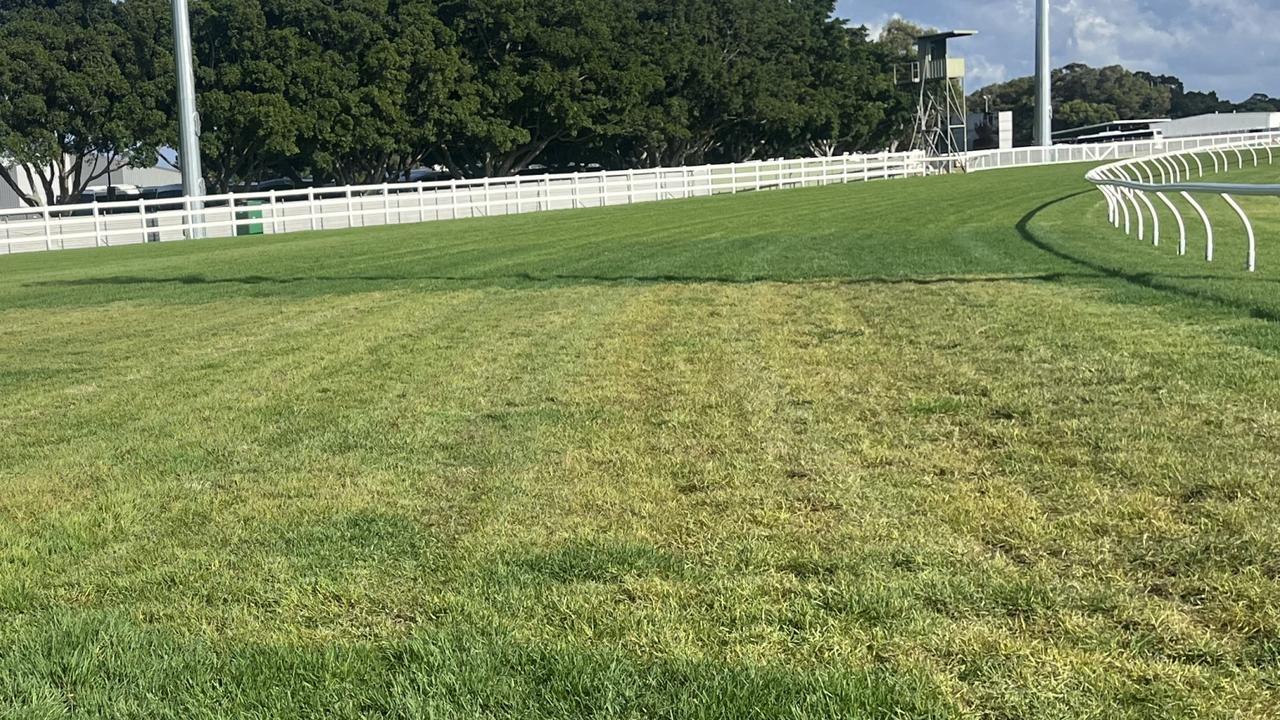 Millions shock: Gold Coast meeting moved to Sunshine Coast after track poisoning