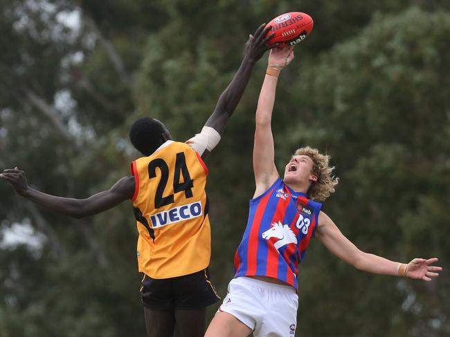 April 27, NAB League: Dandenong Stingrays v Oakleigh Chargers.24 Big Nyuon in the ruck for Dandenong Stingrays againstJacob Woodfull for Oakleigh Chargers.Picture: Stuart Milligan