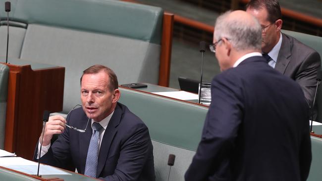 She said Tony Abbott has spent too long being disruptive from the backbenchers. Picture Kym Smith