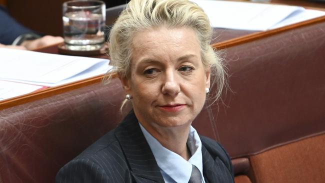 Senator Bridget McKenzie has officially declared receiving 16 free business class upgrades. Picture: NewsWire/ Martin Ollman