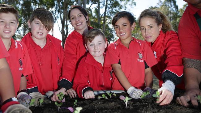 Children at St Helen’s Park Public School have constructed a veggie hub ...