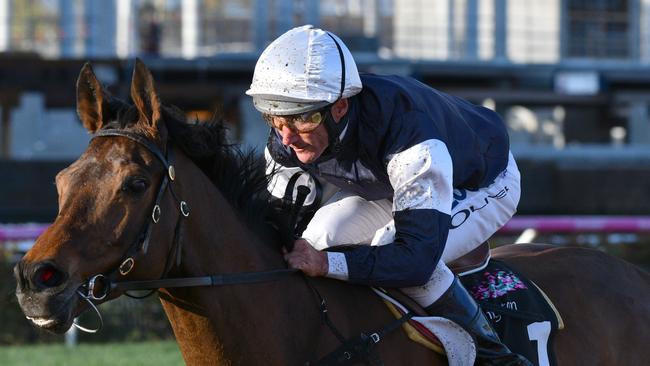 Damien Oliver, guiding Almandin to victory in the JRA Trophy on 16 September, will ride the star stayer in the Melbourne Cup.