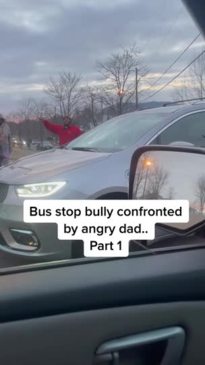 Dad aggressively confronts daughter's bully in viral TikTok