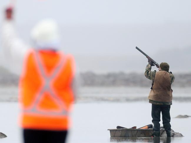 The duck shooting season opens at Lake Burrumbeet outside Ballarat. Picture: Mark Stewart