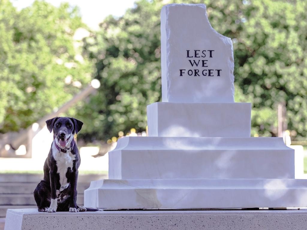 Australian Working Dog Rescue calendar Daily Telegraph