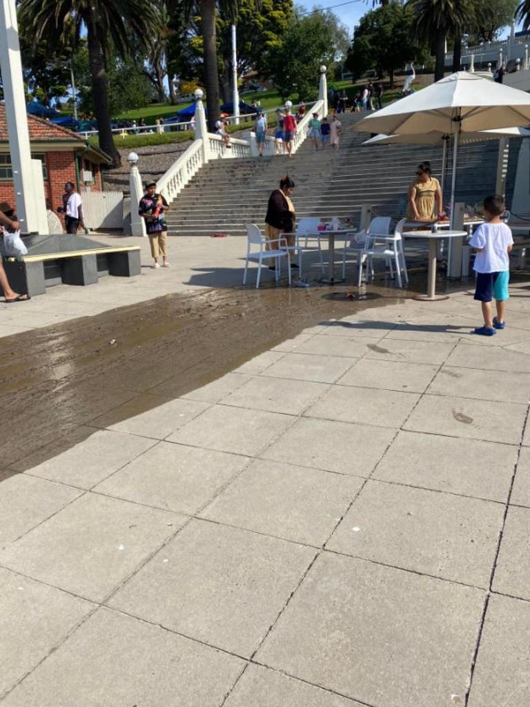 Visitors to Geelong’s waterfront were forced to battle more than strong winds over the New Year holiday period. Source: Evelyn Newman/ Facebook