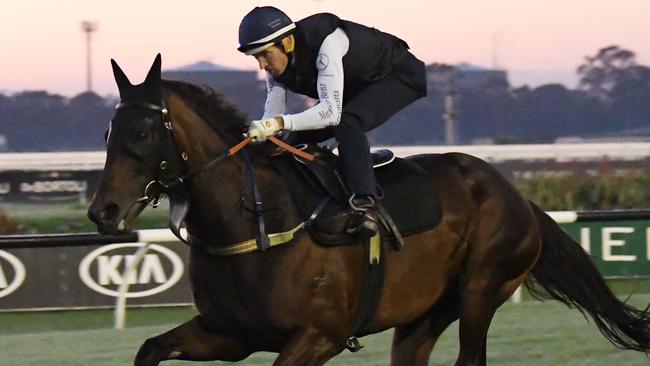 Hugh Bowman put Winx through her paces at Rosehill Gardens on Thursday. Picture: AAP