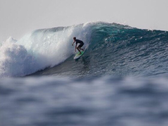 Tom Hatton surfing