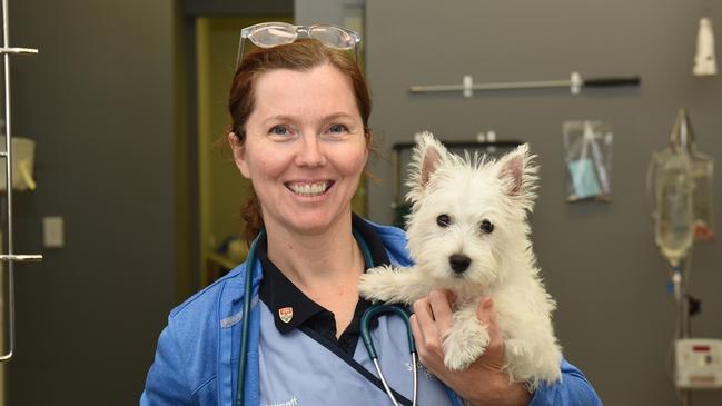 Sydney School of Veterinary Science lecturer Anne Fawcett said a rise in people adopting dogs during isolation could be a contributing factor for the recent “spike” in cases. Picture: Supplied
