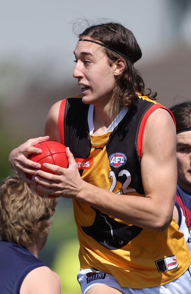 Jordan Doherty playing for the Dandenong Stingrays last year. Photo: Rob Lawson/AFL Photos