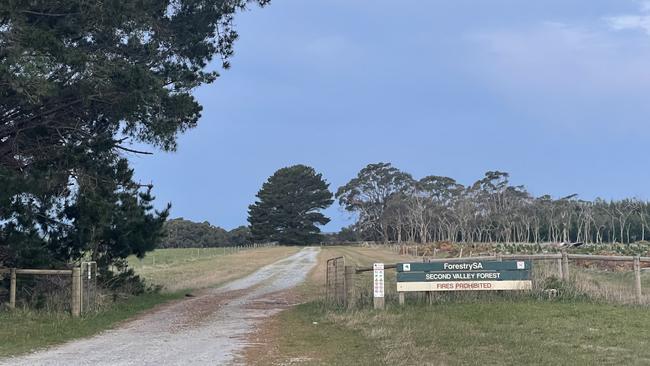 The man died during a logging accident near Second Valley. Picture: The Advertiser