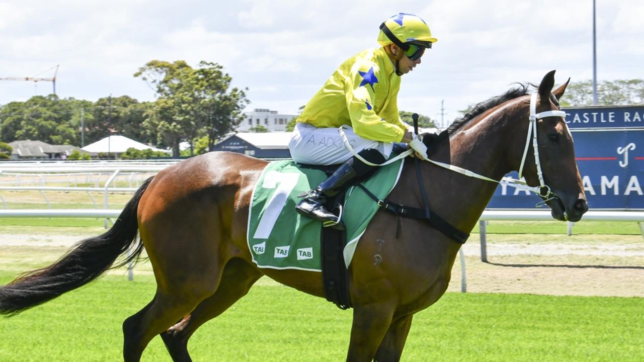 Spirit Of Storm had trialled well ahead of her return to racing. Picture: Bradley Photos