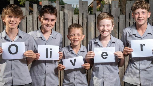 An abundance of Ollies at one Geelong primary school