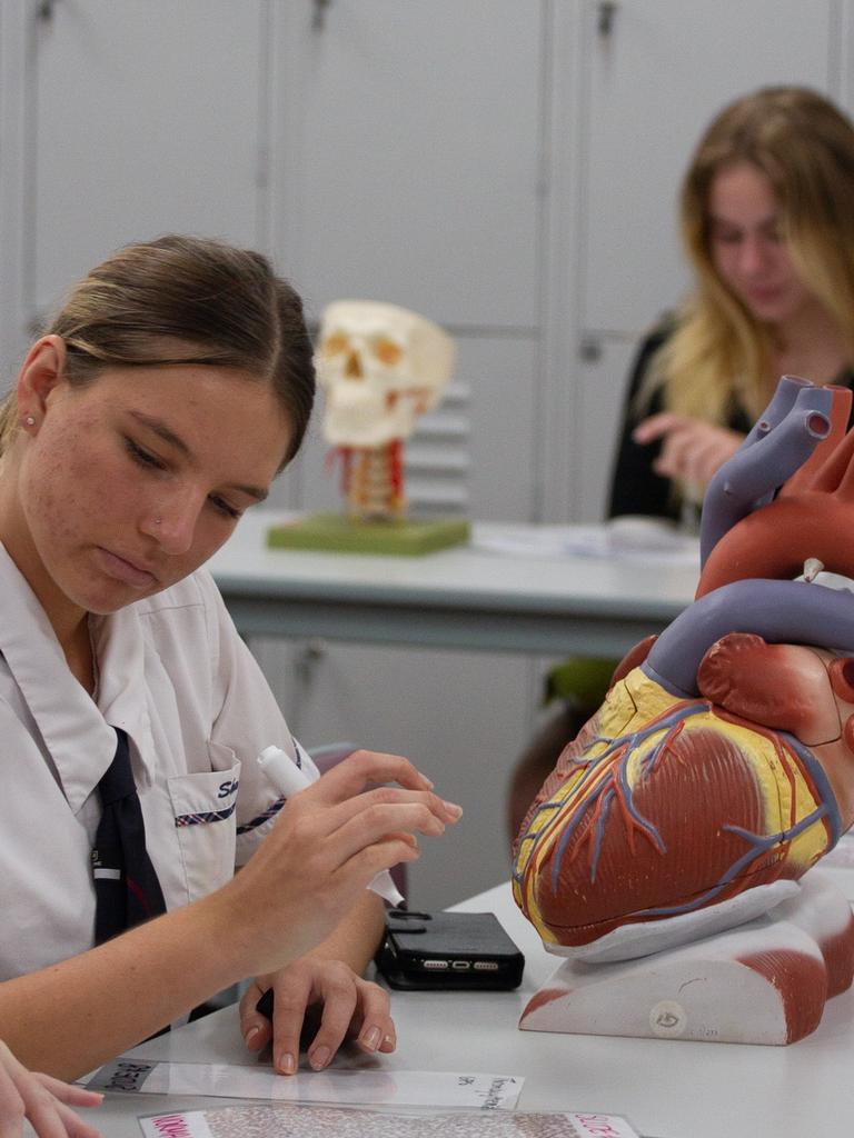 Medical science students worked through group projects.