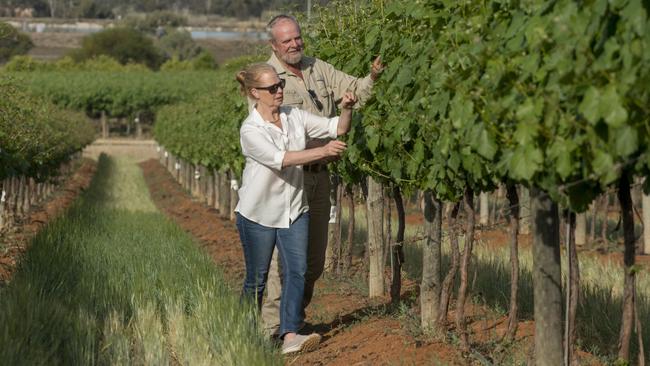 Bruce and Jenni Chalmers at their family vineyard in Merbein.