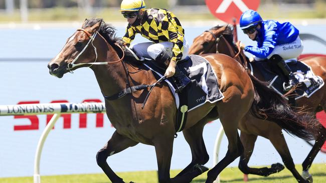 Tommy Berry wins on Remarque at Rosehill on Saturday. Picture: Mark Evans/Getty Images