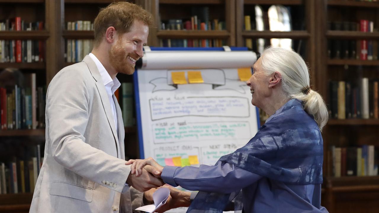 Prince Harry and Dame Jane Goodall have appeared together publicly in the past. Picture: Kirsty Wigglesworth/WPA Pool/Getty Images