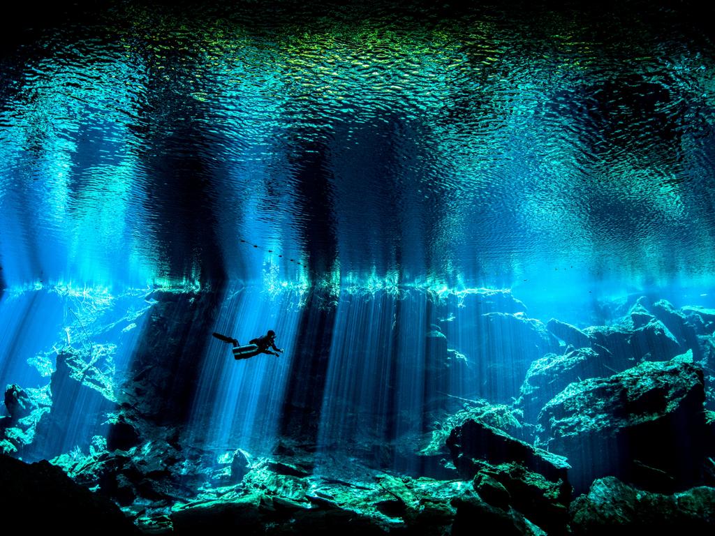 Go underwater to see nature’s ocean life on full display | Herald Sun