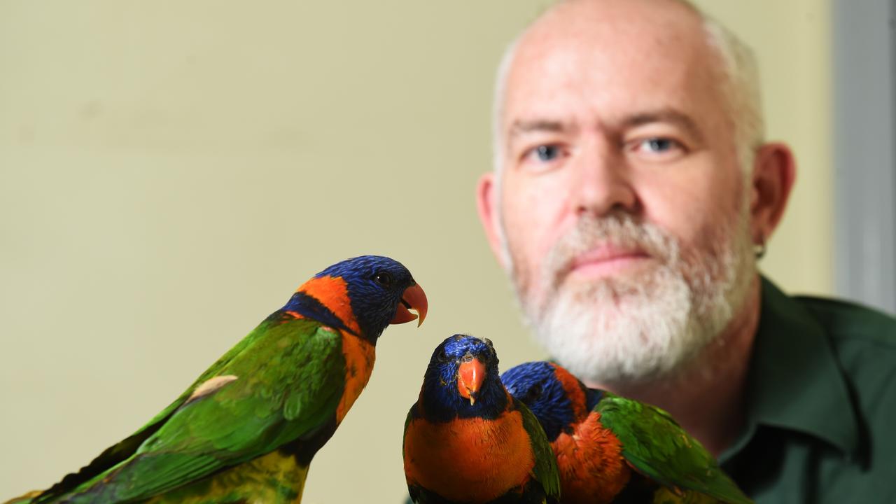 NT vet Stephen Cutter vaccinates more than 20,000 animals | NT News