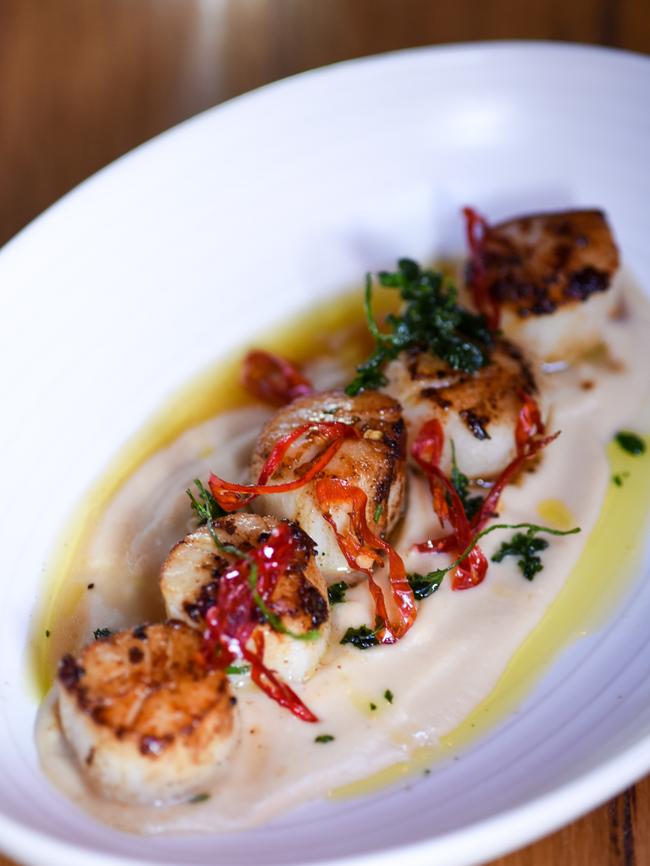 Scallops with jerusalem artichoke and fried chilli.