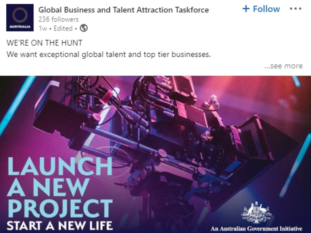 Global Business and Talent Attraction Taskforce. Picture: LinkedIn