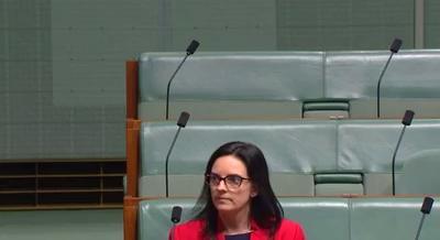 Emma Husar's bizarre tantrum in Federal Parliament