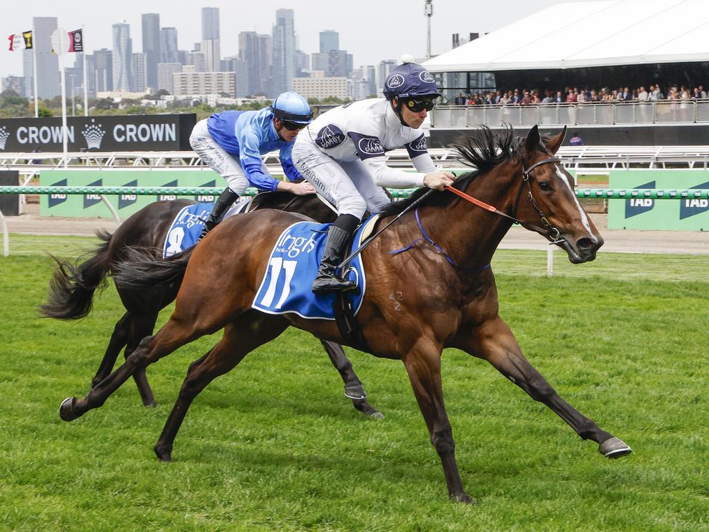 Within The Law wins the Inglist Banner at Flemington in November last year. Picture: Michael Klein