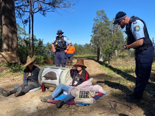 Forest protesters arrested as ‘animal refuge’ logged