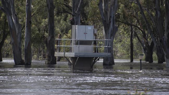 Mildura is preparing for more flooding. Taken 22/11/2022