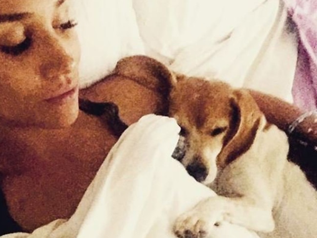 A since-deleted Instagram picture of Meghan Markle and her beagle, Guy.