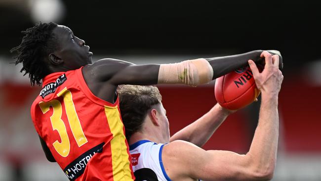 Mac Andrew reaches for the spoil at Blundstone Arena in the last round of 2023. Picture: Steve Bell/Getty Images.