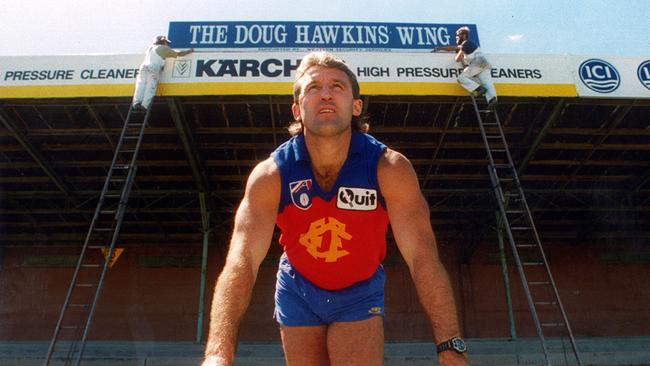 From superstar Bulldog to mentor Lion: Doug Hawkins returns to his win at the Whitten Oval in 1995