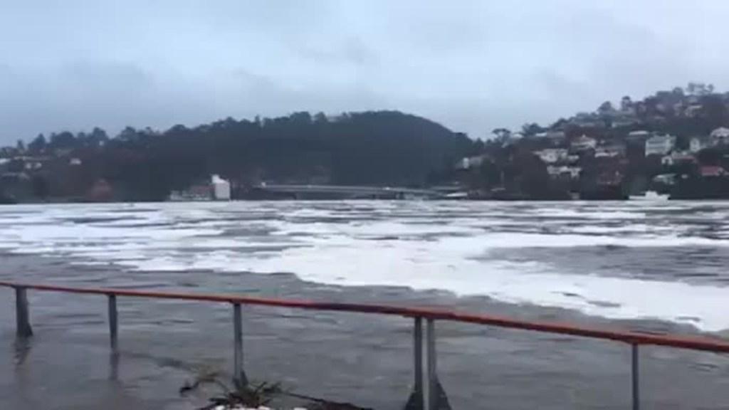 Locals watch as floodwaters flow through Launceston