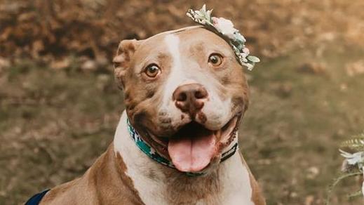 Mama Pickles. Picture: Lauren Casteen Sykes / Enchanted Hills Photography