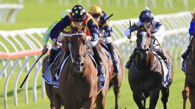 Nature Strip is a deserved short-priced favourite as he attempts to go back-to-back in The Everest. Picture: Getty Images