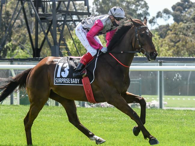 Surprise Baby (NZ) ridden by Craig Williams prior to the Lexus Melbourne Cup at Flemington Racecourse on November 03, 2020 in Flemington, Australia. (Brett Holburt/Racing Photos via Getty Images)