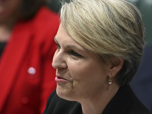 CANBERRA, AUSTRALIA - FEBRUARY 16:Tanya Plibersek  during Question Time at Parliament house in Canberra. Picture: NCA NewsWire / Martin Ollman