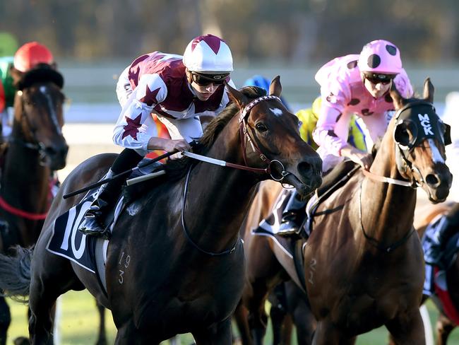 Land Of Plenty proves too powerful at Bendigo this month. Picture: AAP