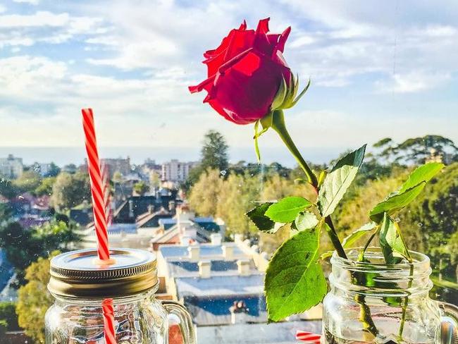 Tim posted this image on Instagram this week. “She’s still accepting my roses! What an incredible journey we’ve had over the past two years!” he wrote.