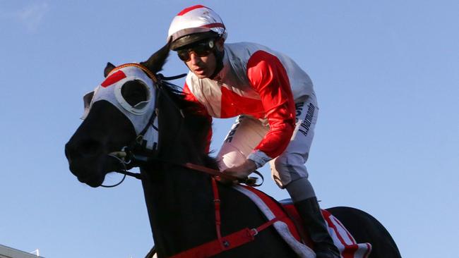 Jockey Anthony Darmanin has no doubts about Mystic Journey’s ability to run 2000m. Picture: Getty Images