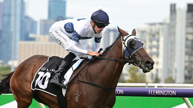 Goldman heads the Melbourne Cup order of entry. Picture: Vince Caligiuri/Getty Images