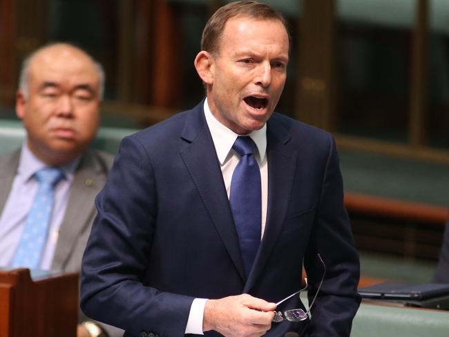 Tony Abbott claimed he had been misrepresented by Labor during an impassioned speech at Question Time. Picture: News Corp