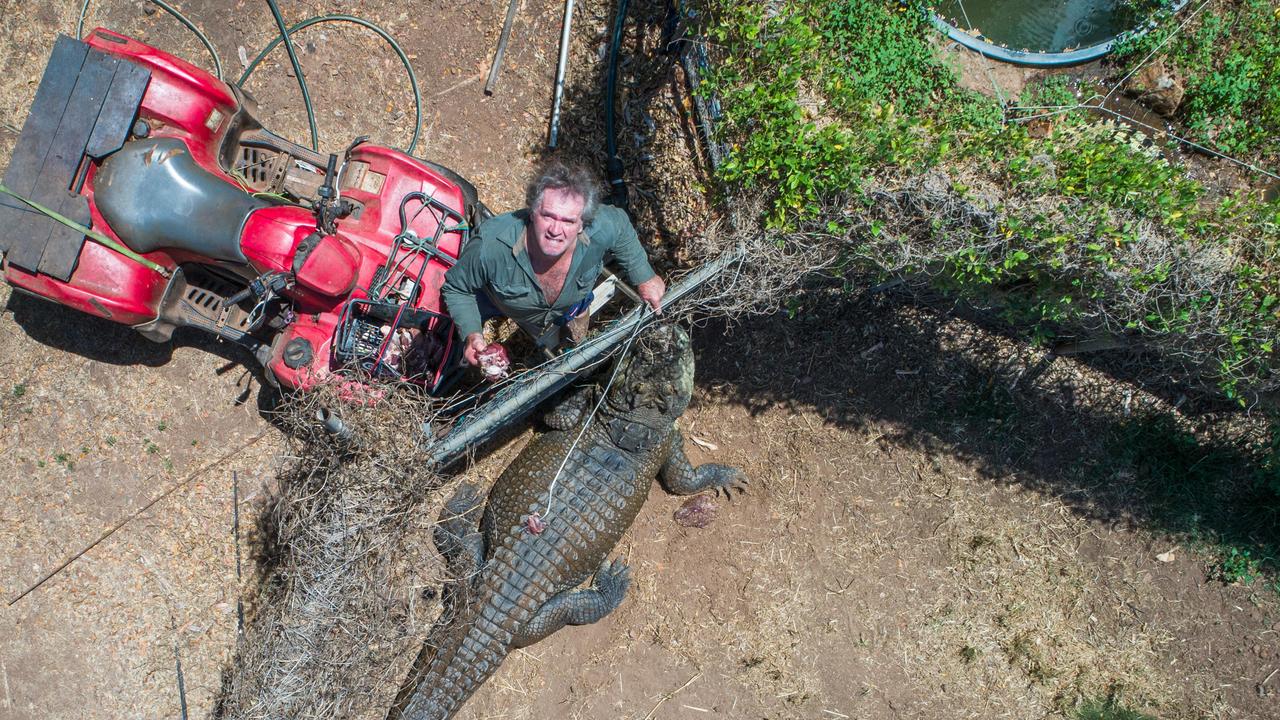 Crocodiles at Trevor Sullivan property at Eva Valley Road, NT. Picture: Pema Tamang Pakhrin