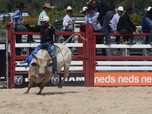 CQ bull rider’s shot at sporting history