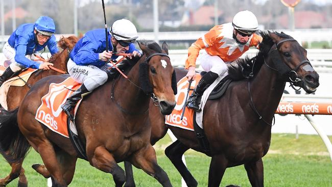 Savatiano gets past Sircconi to win the P.B. Lawrence Stakes at Caulfield. Picture: Getty Images