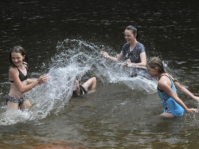 Cool down in the Nepean River at Menangle.